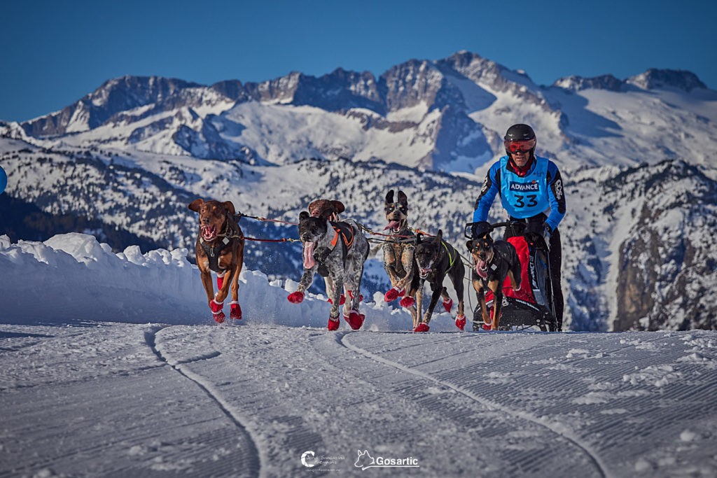Cuatro medallas para Navarra en el Campeonato de España de Mushing Tierra